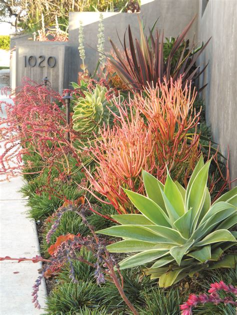 Pin on Drought-Friendly Landscapes