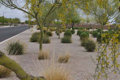 high desert landscaping ideas | Desert landscaping backyard, Desert ...