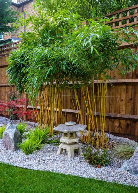 10 Creative and Calm Zen Gardens for Your Backyard