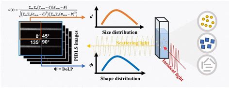 Using polarized imaging to gauge nanoparticle size, morphology, and distribution via dynamic ...