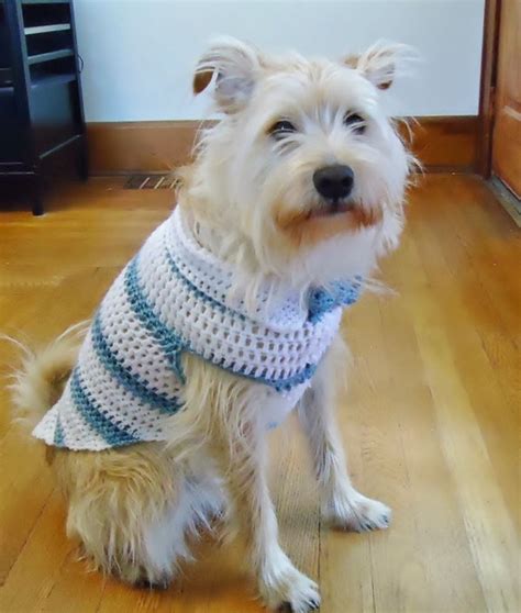 12 Crochet Dog Sweater Patterns For Your Fur Babies - Cream Of The Crop Crochet