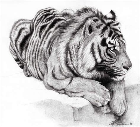 50 Professional Photo Realistic Animal Drawings | Realistic animal drawings, Pencil drawings of ...