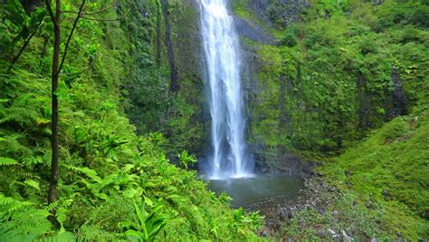 Majestic Lush Tropical Jungle Waterfall In Hawaii Stock Footage Video 5386214 - Shutterstock