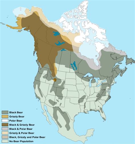 Map of habitat locations for the 3 North American Bears: Black Bears, Grizzly Bears and Polar ...