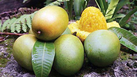 Mango Season: The Best Place to Buy Mangoes in India