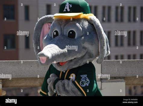 Baseball mascot hi-res stock photography and images - Alamy