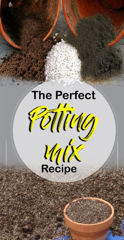 How to make your own Potting Soil | Potting mix Recipe