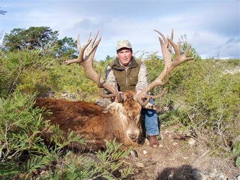 Red Stag Hunting | 18,000 Acres in Texas | 60+ Species | Ox Ranch