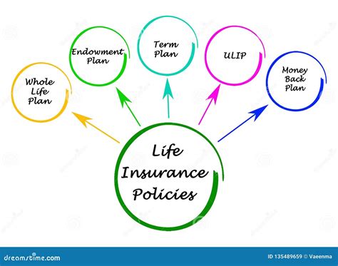 Life Insurance Policies stock illustration. Illustration of insurance - 135489659