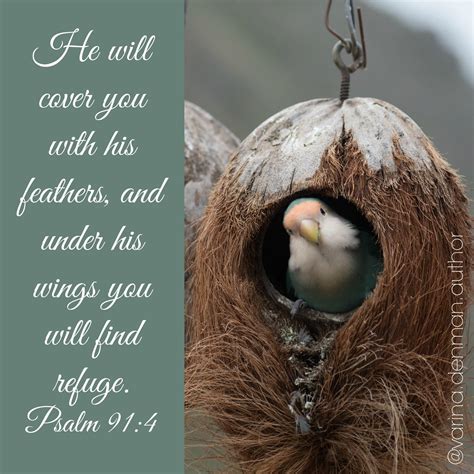 He will cover you with his feathers, and under his wings you will find refuge. Psalm 91:4 ...