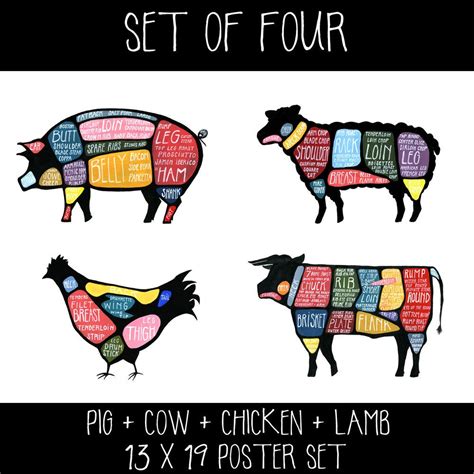 Set of FOUR - Cow, Pig, Chicken and Lamb Butchery Diagram Prints ...