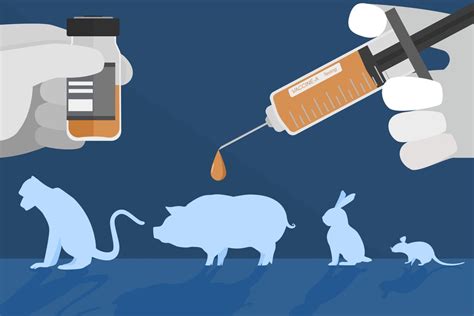 Animal Toxicity Testing - Solution Parmacy