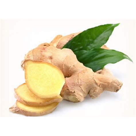 CURCUMA ZEDOARIA (TEMU PUTIH) EXTRACT - Insular Multi Natural