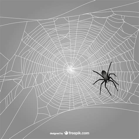 Black spider web vector | Free Vector