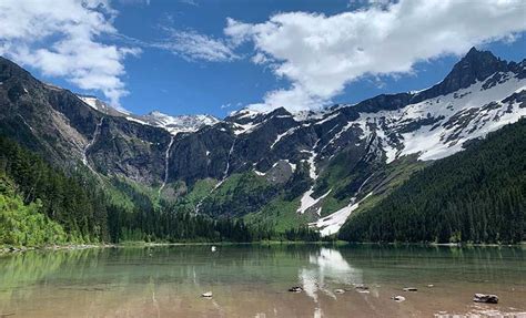 Avalanche Lake Hike & Trail of the Cedars Guided Day Hike