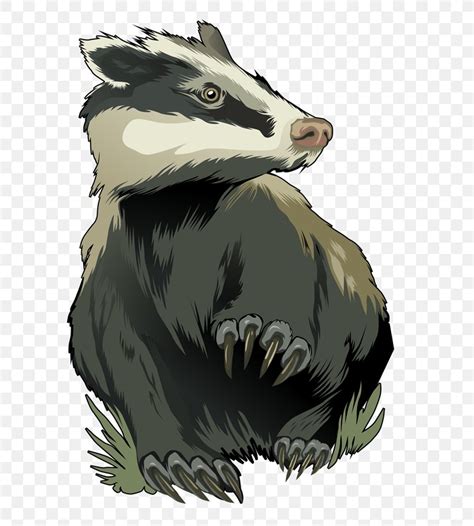 Honey Badger Royalty-free Clip Art, PNG, 700x911px, Honey Badger, Art, Badger, Bear, Carnivoran ...