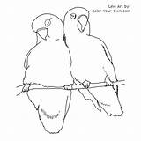 Love Birds Coloring Page sketch template