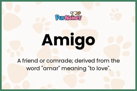 Amigo 🐶 - Dog Name Meaning & Popularity | PupNames.com™