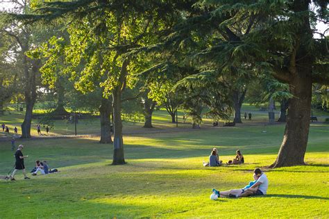 The top 12 city parks in Melbourne - Lonely Planet