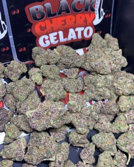 Black Cherry Gelato-buyweedonline-jamesgrowhouse.com