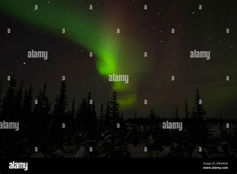 Aurora borealis in Churchill, Manitoba, Canada Stock Photo - Alamy