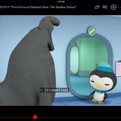 Peso Penguin/gallery | Octonauts Wiki | FANDOM powered by Wikia