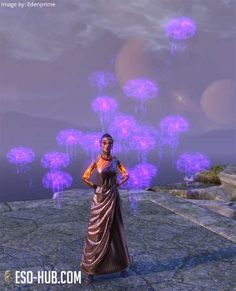 Jellyfish Bloom, Heliotrope - ESO Hub - Elder Scrolls Online