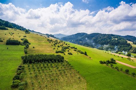 Wonderful Hills Scenery with Green Grass and Trees Free Stock Photo | picjumbo