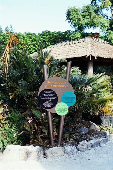 Auckland Zoo - Good Design