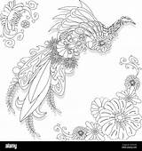 Floral Ukrainian Vector Image Flower In The Style Of Petrykivka  sketch template