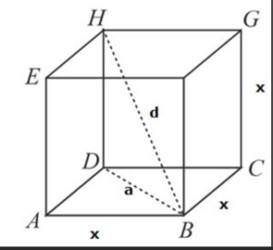 Diagonal of a Cube Formula - Infinity Learn