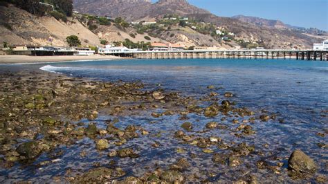 The Best Malibu Hotels on the Beach from $89 - Free Cancellation on Select Waterfront Hotels in ...