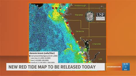 New red tide map to be released Friday | wtsp.com