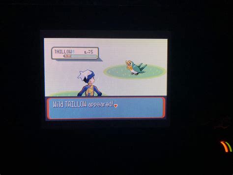 [3] Shiny Taillow finally appears on my Sapphire after 33,517 RE’s!!! : r/ShinyPokemon