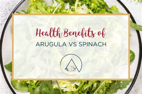 The Health Benefits of Arugula vs Spinach - Our Blue Ridge House