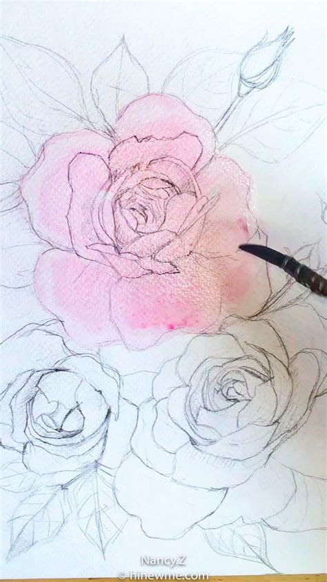 Watercolor roses tutorial | Flower drawing, Flower painting, Watercolor ...