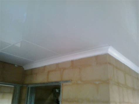 PVC Ceilings | Pelican Systems