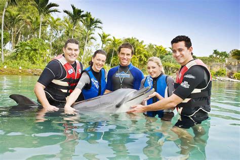 Best family resorts australia - are you looking for a family-friendly holiday?