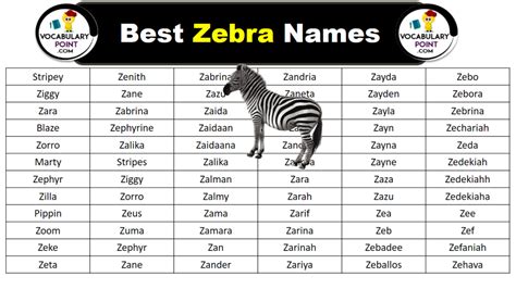 400+ Best Zebra Names in English - Vocabulary Point