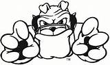Georgia Bulldogs Logo Coloring Pages Sketch Page sketch template