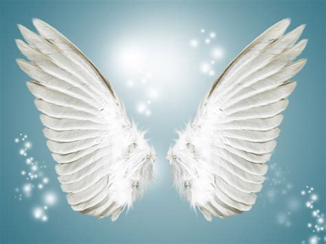 Angel White Wing Background, Blue, Angel, Wings Background Image for ...