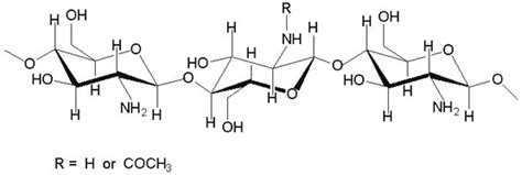 The molecular structure of chitosan | Download Scientific Diagram