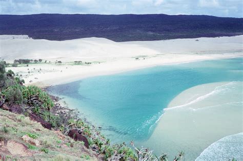 Beach and sand dunes, Indian Head, K'gari (Fraser Island) 1990 | QUT Digital Collections