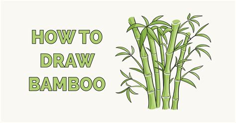 How to Draw Bamboo - Really Easy Drawing Tutorial