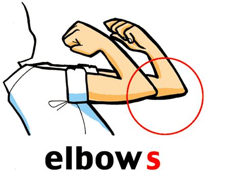 Elbow Clipart | Free download on ClipArtMag