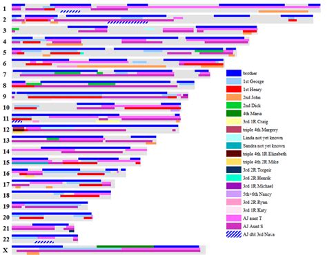 Using your DNA test results: the Basics for Genealogists | Dna ...