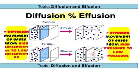 Diffusion and Effusion: Graham's Law - QS Study