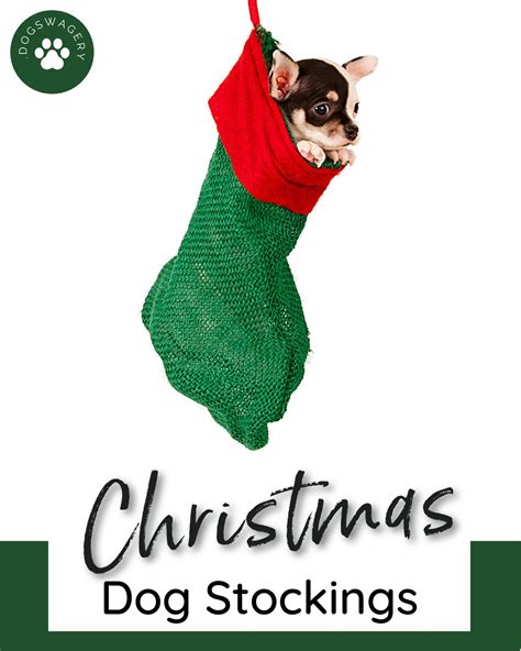 Christmas Dog Stockings