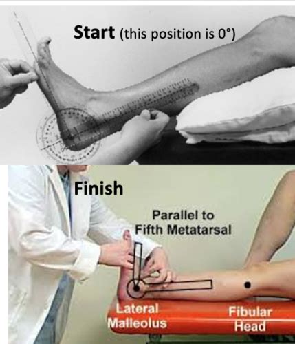 Knee, ankle/foot goniometry Flashcards | Quizlet