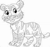 Coloring Pages Tigers Preschool sketch template